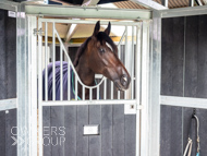 WG031025-2 - Warren Greatrex Stable Visit